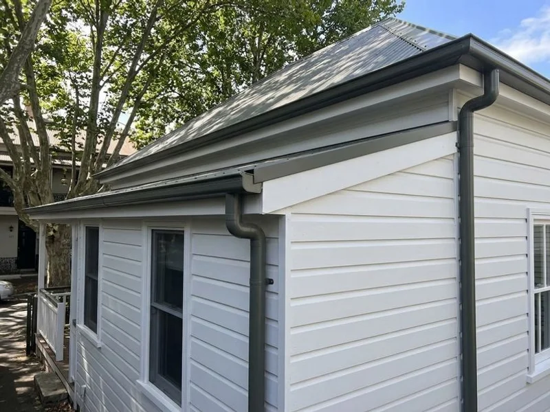 Roof & Gutter Repairs work example 1