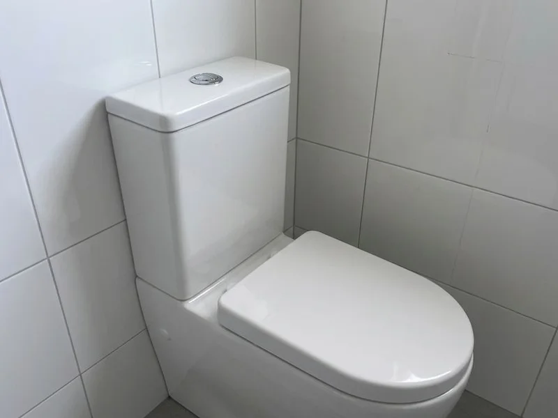 Toilet & Tap Repairs work example 1